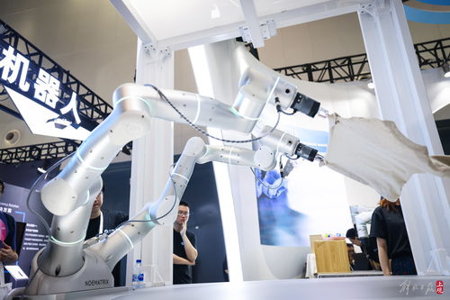 共商人工智能未來 世博展覽館再掀AI熱潮，聚焦人工智能基礎軟件開發